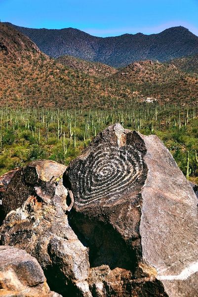 Signal Hill Petroglyphs-Arizona-USA